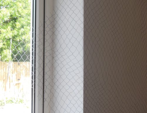 Cyclone Fence (wall & window drawing detail) Pistols & Pollinators II