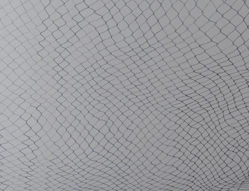 Cyclone Fence (wall drawing detail) Pistols & Pollinators