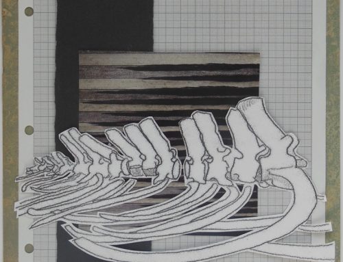 Project 2014 experiment 4